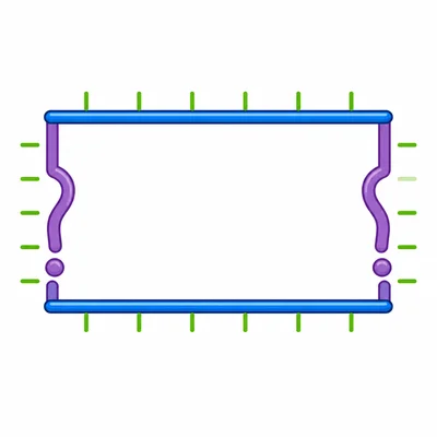 A rectangle diagram with the width sides highlighted as the unknown length.