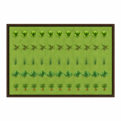 A rectangular garden with shaded area and outlined perimeter.