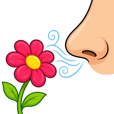 A nose smelling a flower.