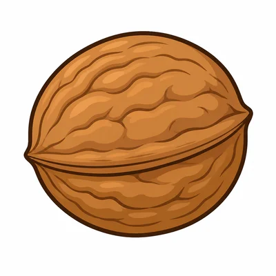 A nut.