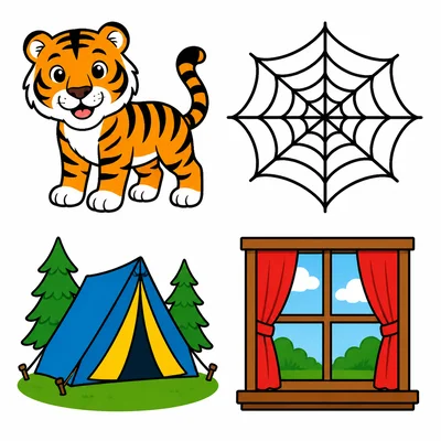 Pictures of a tiger, web, tent, and window.