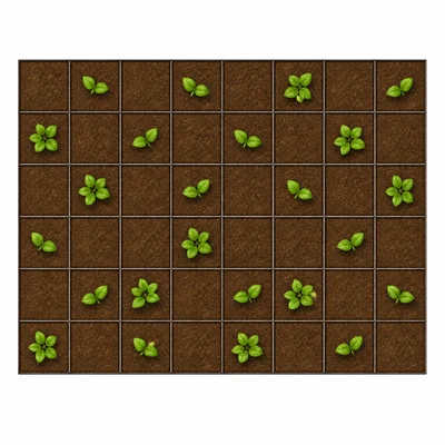 An 8 by 6 rectangular garden grid showing area.