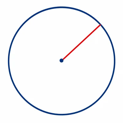 A circle with a radius drawn from the center to the edge.