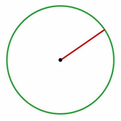 A circle with highlighted circumference and a radius line.