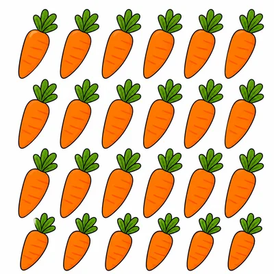 Twenty orange carrots arranged in rows