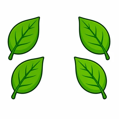 Four green leaves in two groups of two.