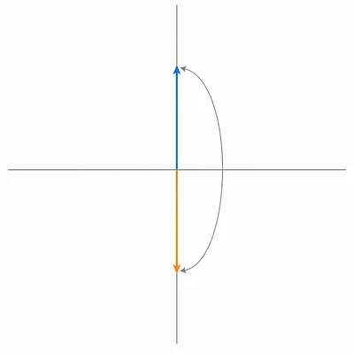 A vertical vector from the origin is transformed into an equal-length vector pointing in the opposite direction.