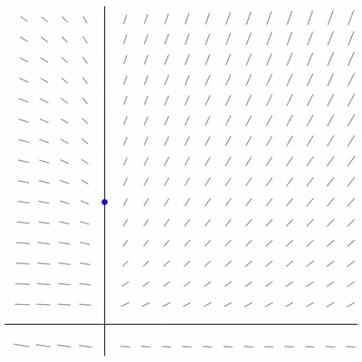 Unlabeled slope field with axes and a highlighted starting point on the vertical axis.