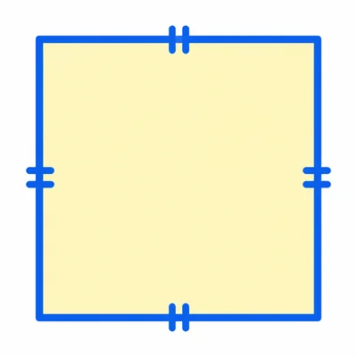 A square with its perimeter highlighted.