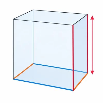 A rectangular prism with its height highlighted.