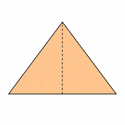 A triangle with a dashed height line from the top vertex to the base.