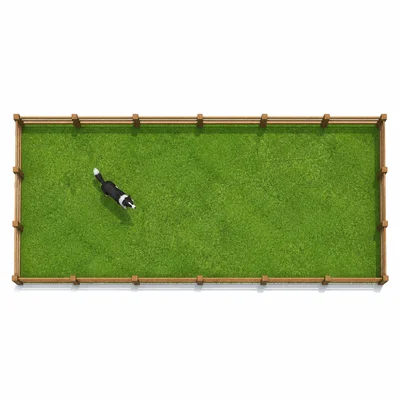 A rectangular dog run with grass inside and fencing around the outside.