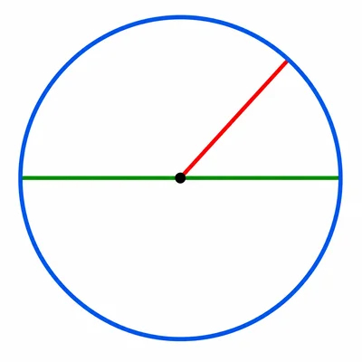 Circle reference diagram showing center, radius, diameter, and circumference without labels.
