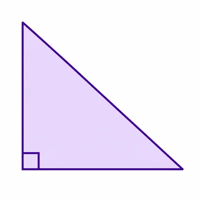 A right triangle with a right angle marker.