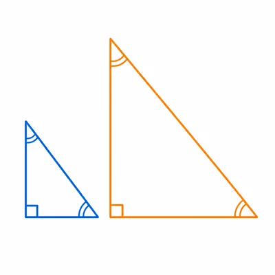 A small right triangle dilated to a larger similar triangle.