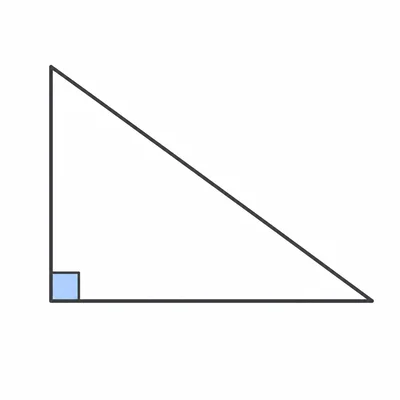 A scalene right triangle with a right-angle marker.