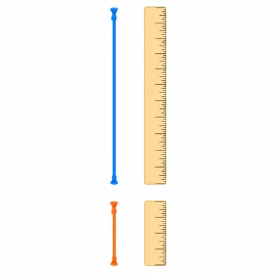 Two strings of different lengths shown with tick-mark rulers.