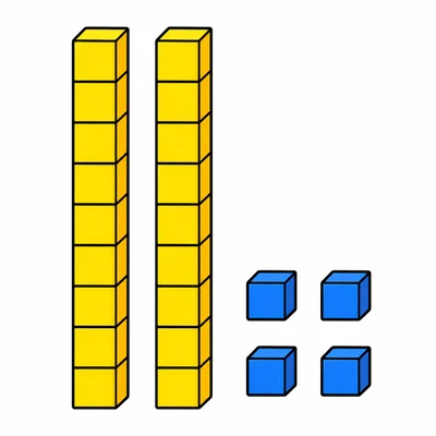 Two ten-rods and four single cubes.