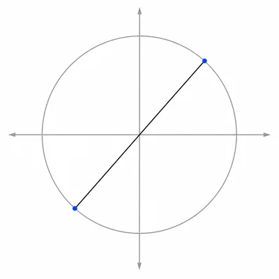 Unit circle with two opposite diagonal solution rays highlighted.