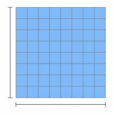 A square divided into an eight-by-eight grid of small unit squares.