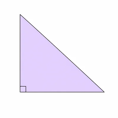 A right triangle with a square marker at the right angle.