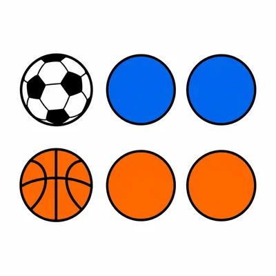 Pictograph showing two circles for soccer balls and two circles for basketballs.