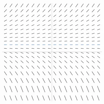 Slope field with flat segments on one horizontal line, positive slopes above, and negative slopes below.
