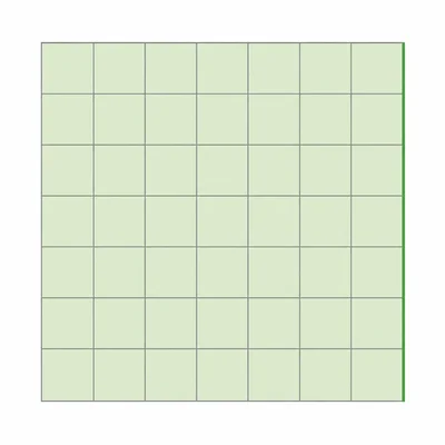 A square area model divided into seven rows and seven columns.
