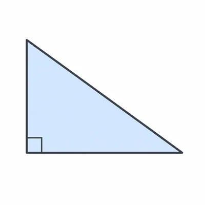 Unlabeled right triangle with a marked right angle.
