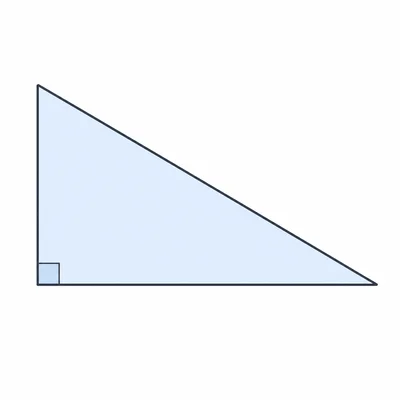 Unlabeled right triangle with hypotenuse emphasized visually.