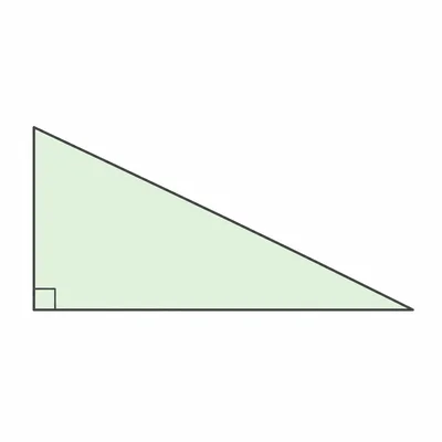 Unlabeled right triangle with a right-angle marker.