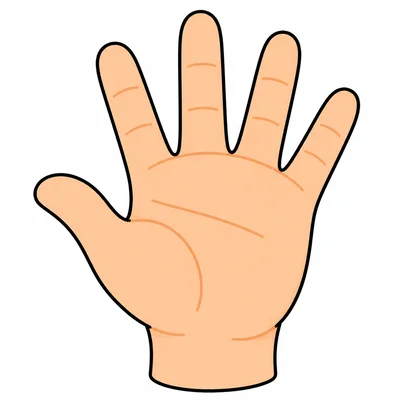 One open hand showing five fingers.