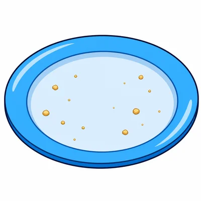 An empty plate with crumbs after a sandwich was eaten.