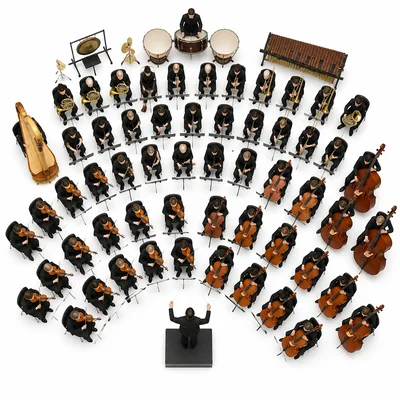 Orchestra seating diagram with string instruments grouped near the front.