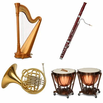 Harp, bassoon, French horn, and timpani shown together.