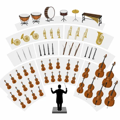 Typical orchestra seating with strings near the conductor at the front.