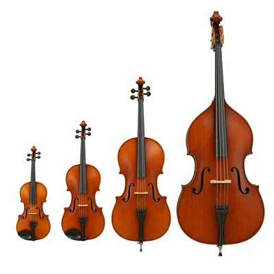 Violin, viola, cello, and double bass arranged from smallest to largest.