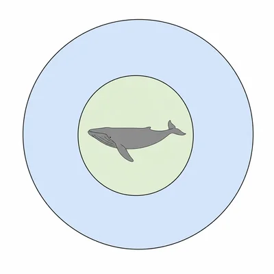 Nested circles show a whale inside the mammal group, which is inside a broader warm-blooded group.