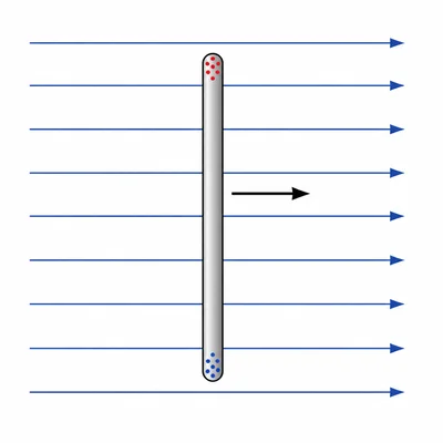 Conducting rod moving through a magnetic field with separated charges at its ends.