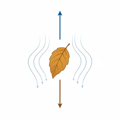 A falling leaf with equal upward and downward force arrows.