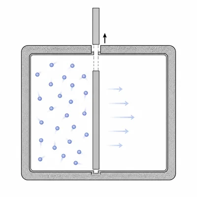 Gas freely expands into an empty chamber inside an insulated container.