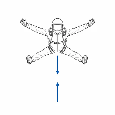 Skydiver at terminal velocity with equal downward gravity and upward air resistance arrows.