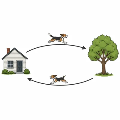 A dog runs from a house to a tree and back again.