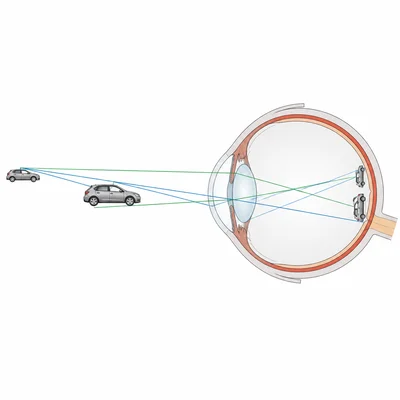 Eye diagram showing a near car making a larger retinal image than a far car.