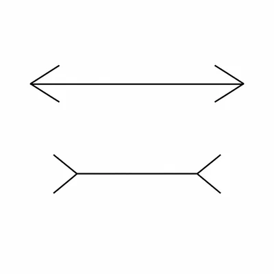 Two equal-length lines with opposite arrow fins creating a length illusion.