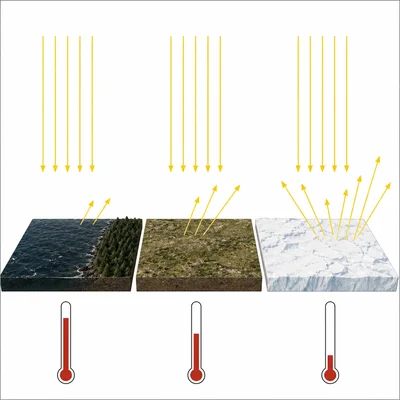 Three surfaces with different reflectivity show darker surfaces absorbing more sunlight and having higher temperatures than bright icy surfaces.
