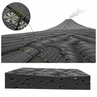 Bare volcanic rock with early lichens and moss beginning to grow.