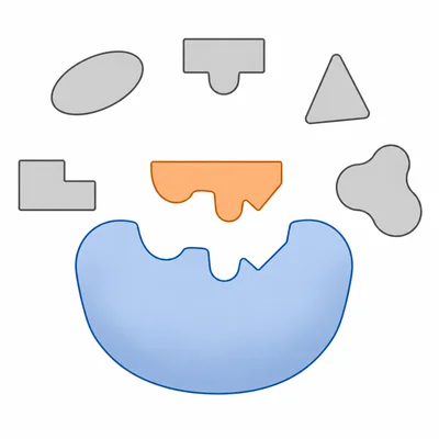 Only a specific substrate fits an enzyme active site.