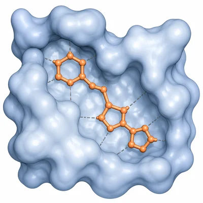 A substrate fits into an enzyme active site.