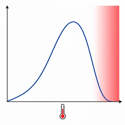 Enzyme activity rises with temperature, peaks, then drops sharply.